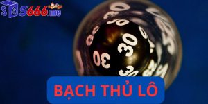 Bạch thủ lô